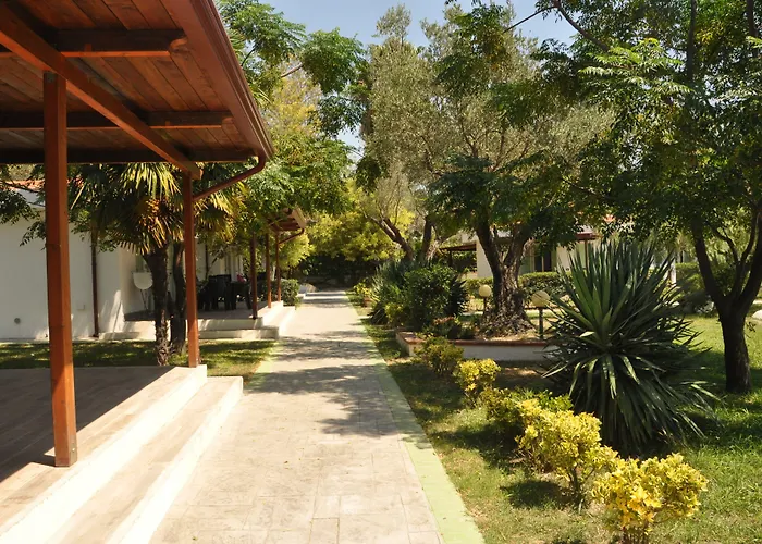 Borgo Degli Ulivi Natural